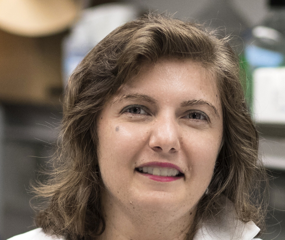 Irina M Bochkis, PhD